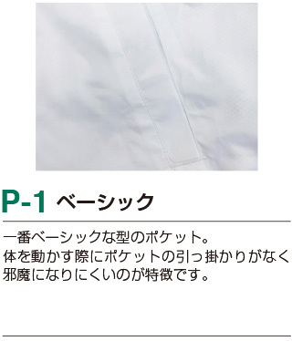 P-1ベーシックの詳細