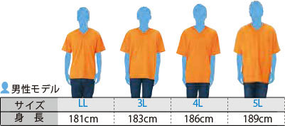 ドライVネックTシャツ 00337-AVT メンズサイズの目安